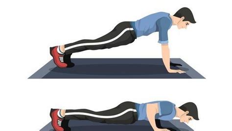 Latihan push up bertujuan melatih kekuatan otot  Push Up